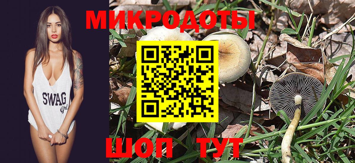 Псилоцибиновые грибы Magic Shrooms Владивосток